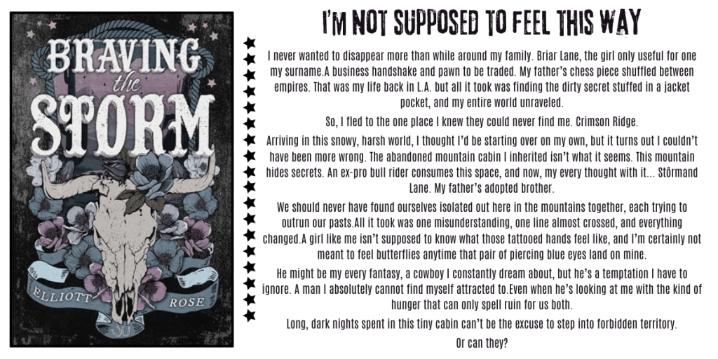 Braving the Storm: The Forbidden, Spicy Cowboy Romance You Need to&nbsp;Read