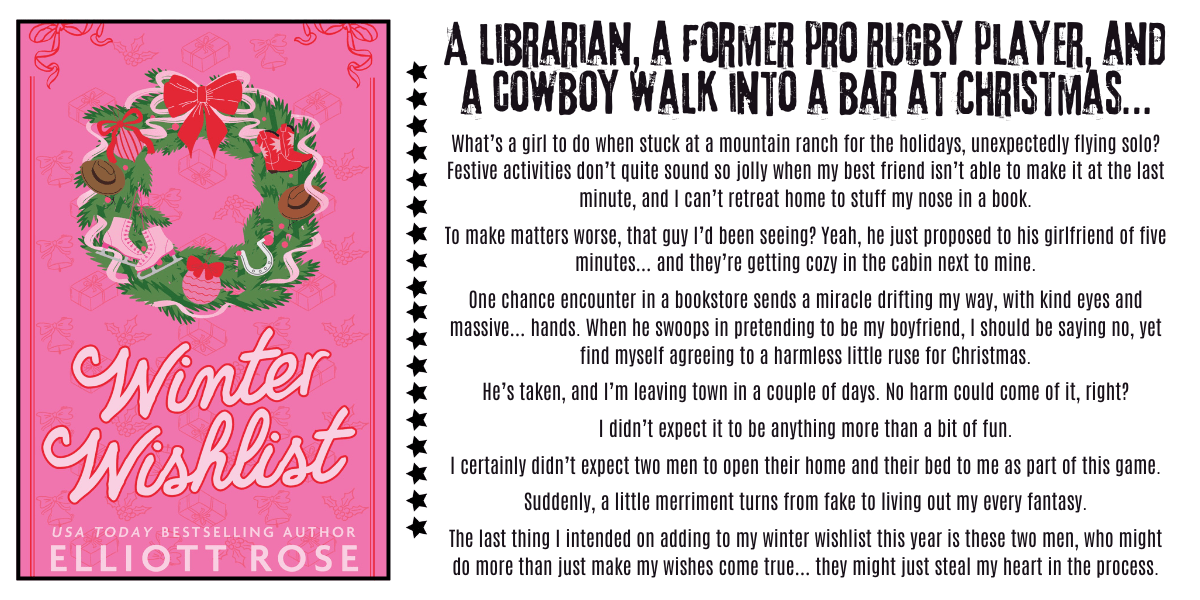 Winter Wishlist by Elliott Rose: The Must Read Holiday Romance of the&nbsp;Season